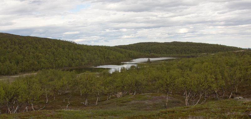 järvi